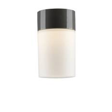Tak- och väggarmatur Opus 100/175 grå, matt opal LED 8W 2700K