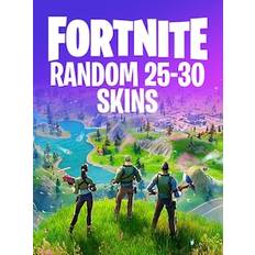 Fortnite Random 25-30 skins (PC) - Fortnite Account - GLOBAL
