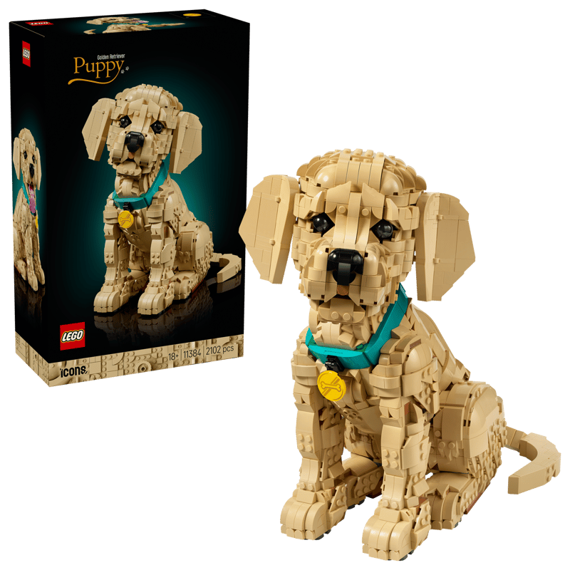 Golden retriever-hvalp