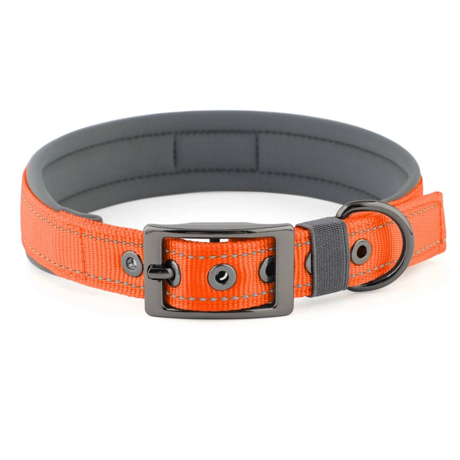Neoprene Padded Reflective Dog Collar with Metal Buckle - Orange / L / SP