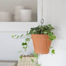 OPHÆNGS BESLAG TIL HÆNGENDE POTTER - BOLTY - BOTANOPIA - spireskål - BOTANOPIA - StudioBuus