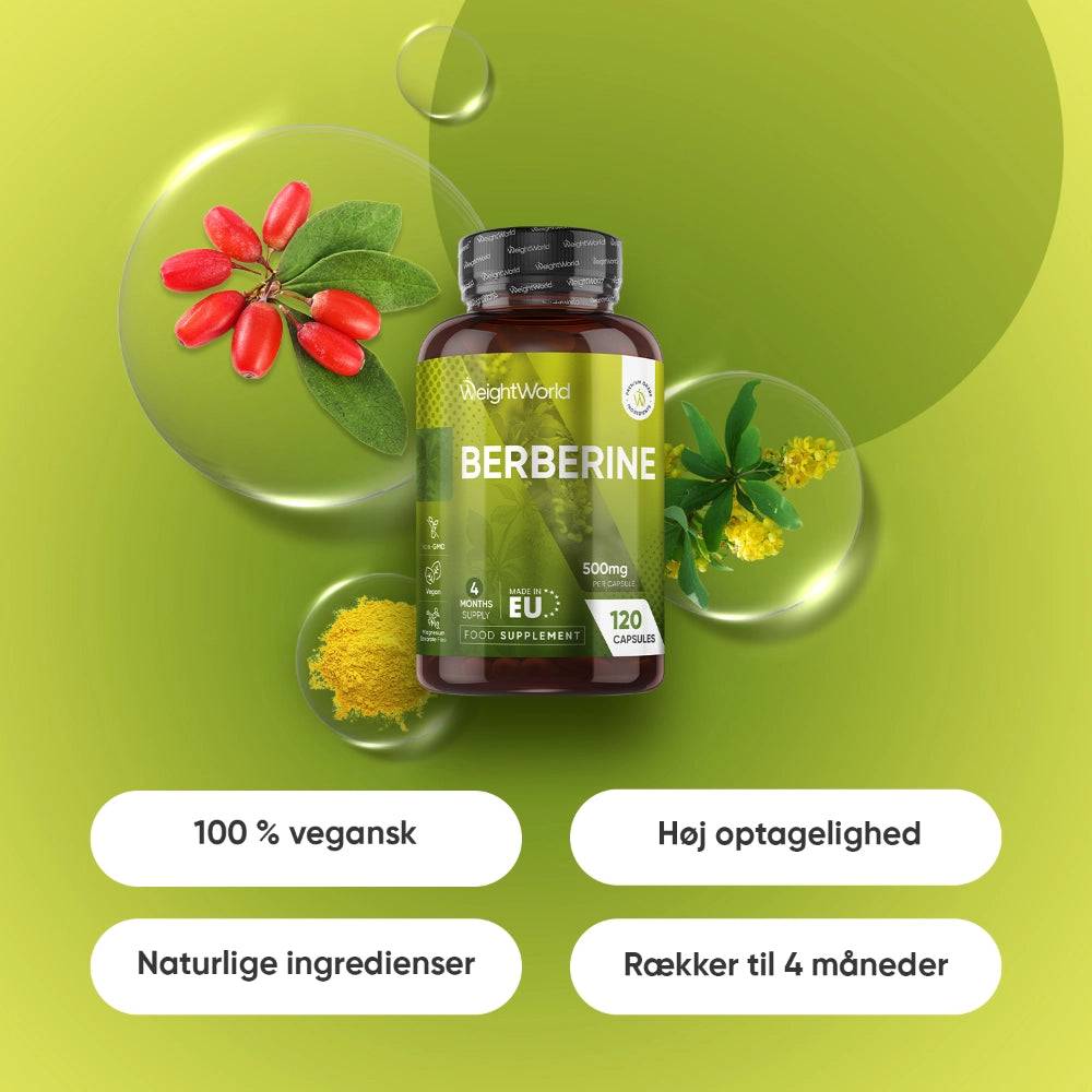 Berberine 500 mg