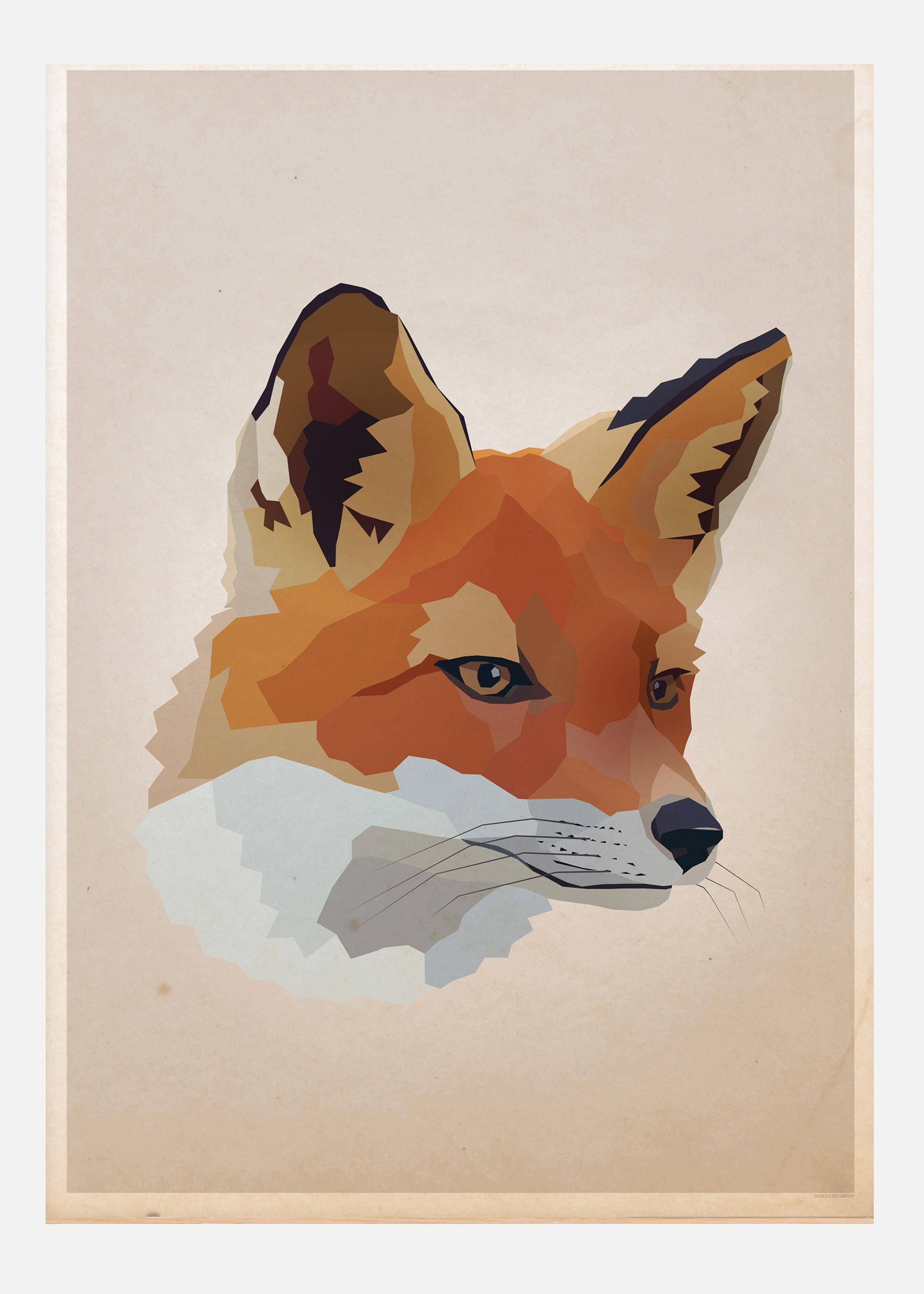 Fox Canvastavla (50x70 cm)
