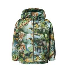MOLO Hoplas |Green |86