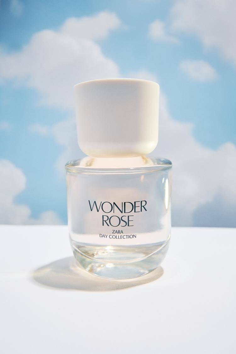 WONDER ROSE