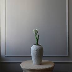 Botané Small Parrot Tulip Flower White Str 51 cm - Kunstige Blomster hos Magasin