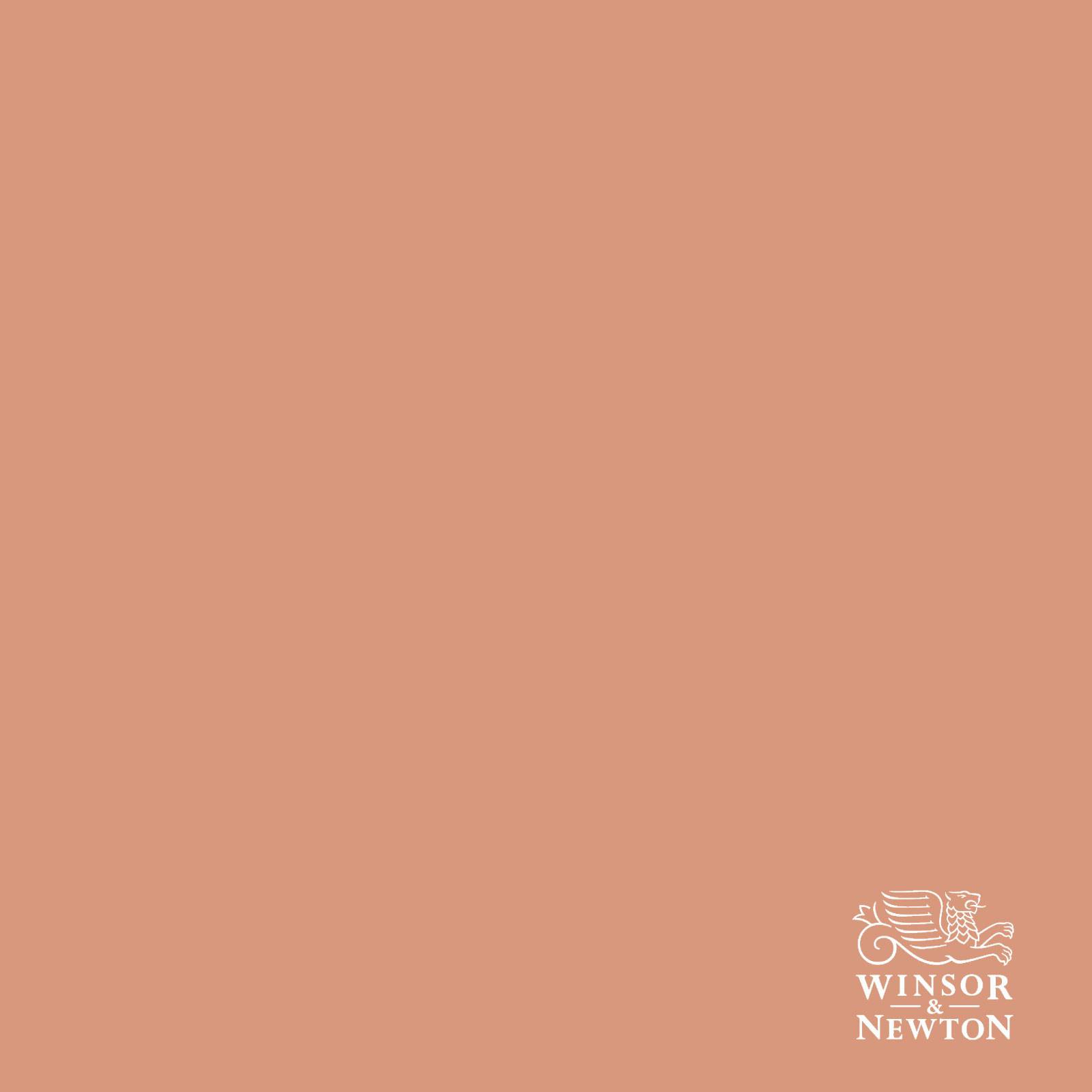 W&N PALE TERRACOTTA 437, 60 ml