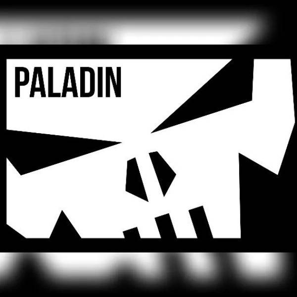 Paladin (Nintendo Switch) Nintendo Key - UNITED STATES