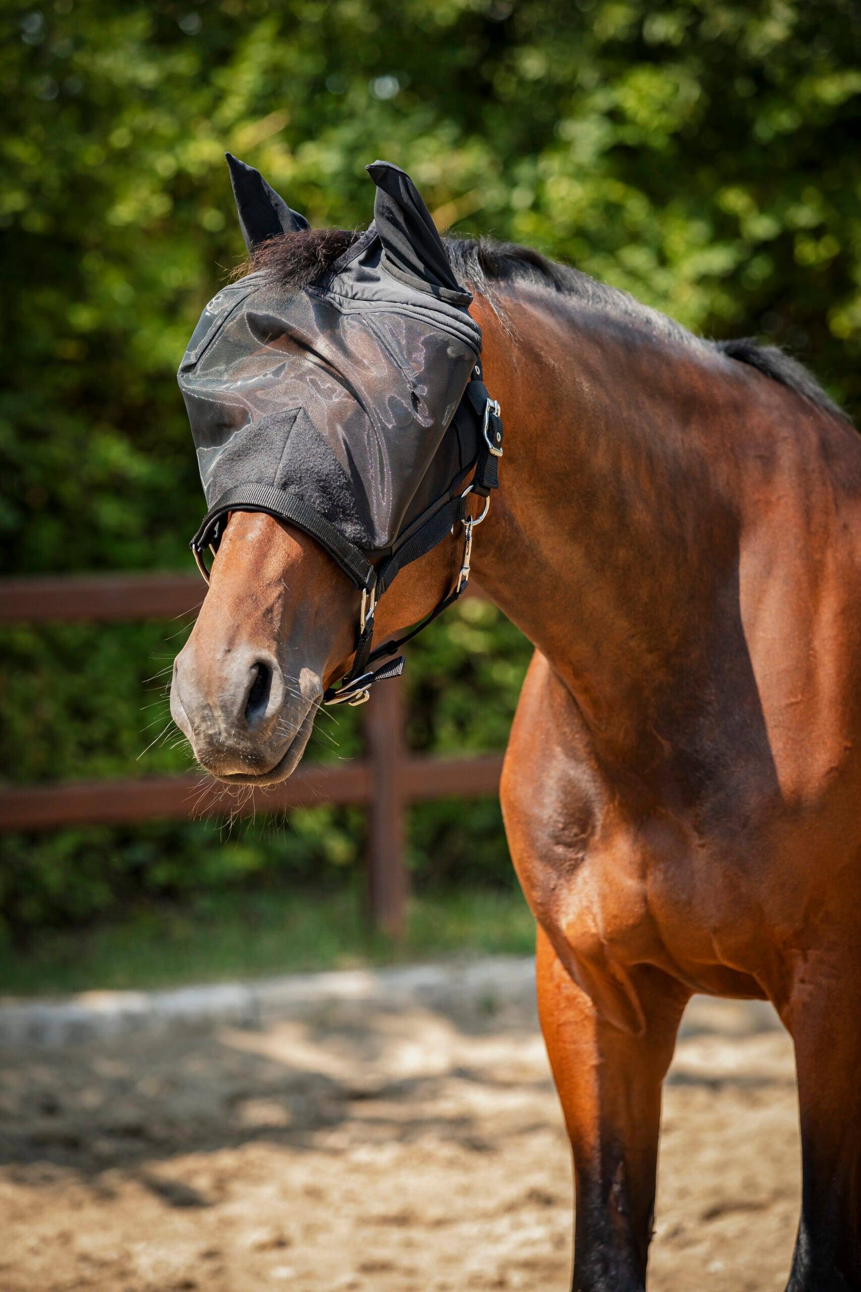HorseGuard Insektsgrimma med Nät - Cob