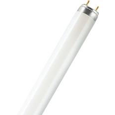 Osram Lumilux Lysstofrør T8, 58W/830, 1500 mm