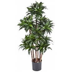 Kunstig Dracaena Fragrans plante H120 cm