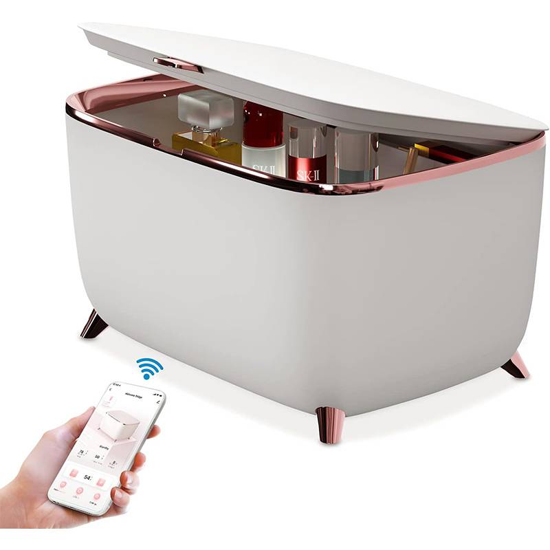 9L Portable Small 12v Beauty Cooler Skincare Cosmetic Makeup Refrigerators Mini Fridge Outdoor Car Fridge