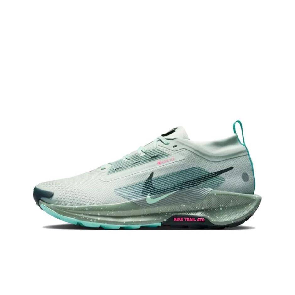 Nike Pegasus Trail 5 GORE-TEX Ljus Silver Lera Grön Herr Sneakers Teal Mint-Skum Sjögräs FQ0908-013 40.5