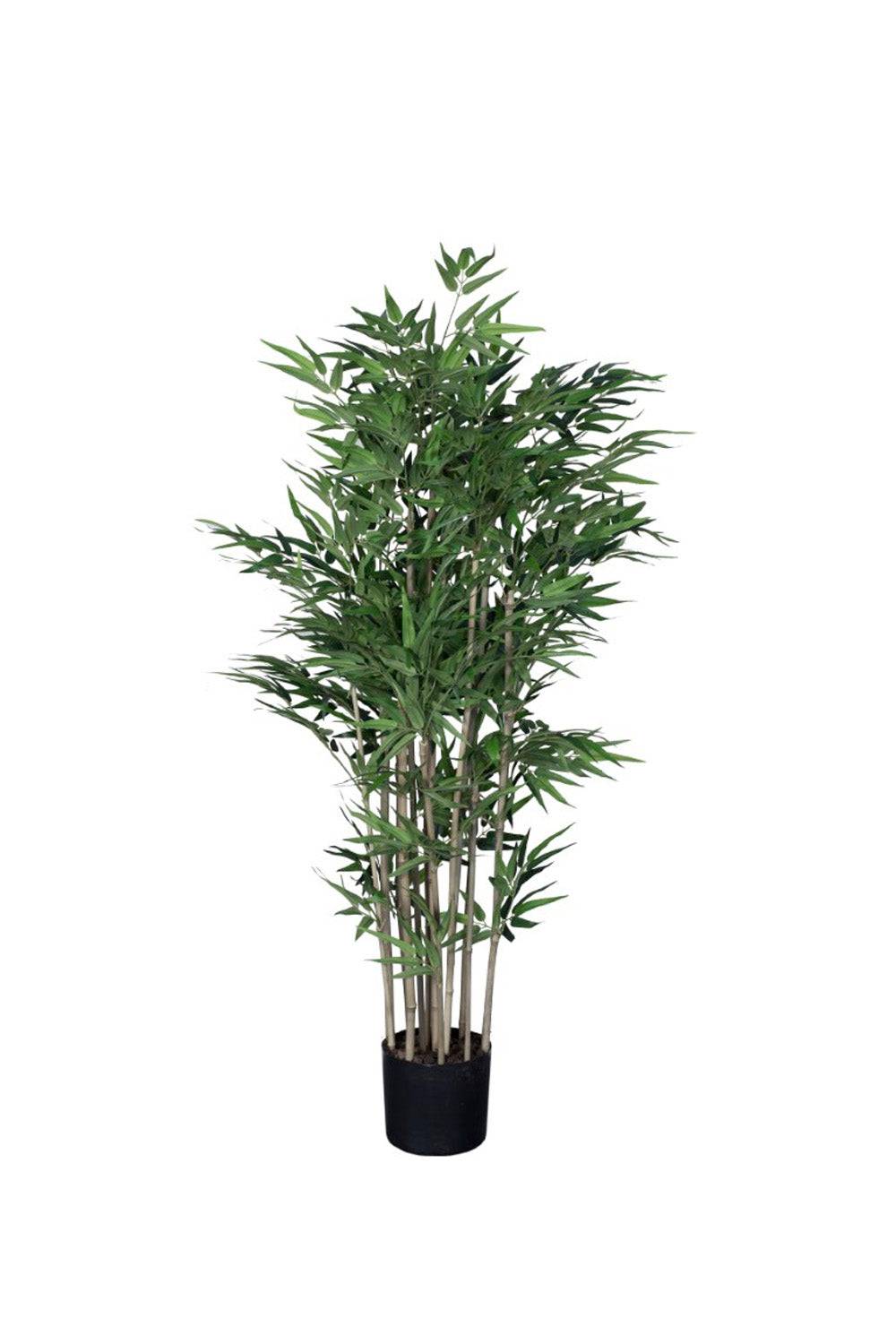 Konstväxt Bambu | Flera storlekar