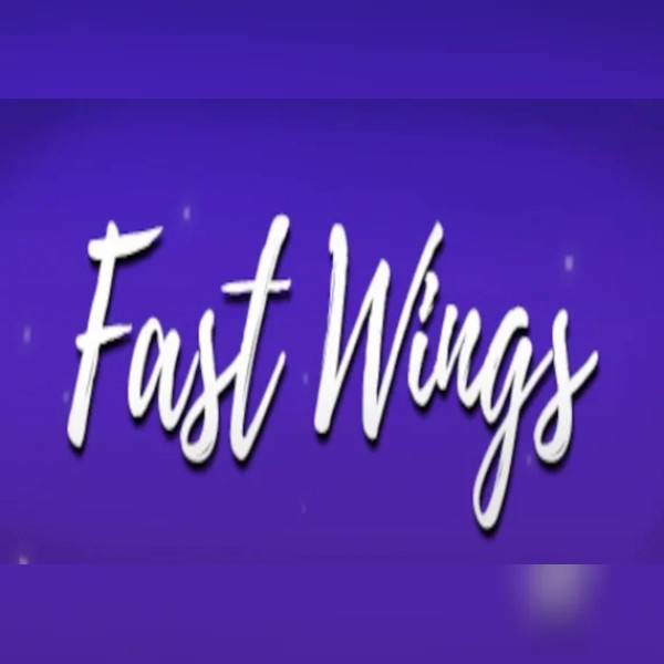 Fast Wings (PC) Steam Key - GLOBAL