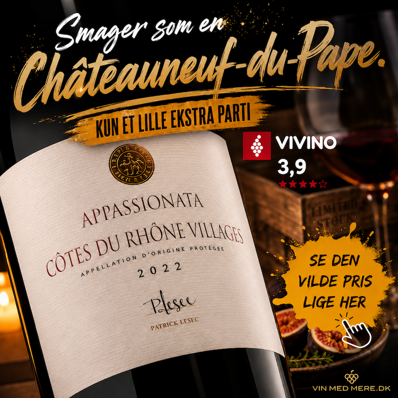Patrick Lesec Cotes du Rhone Village Appassionata 2022 16% | 75 CL..
