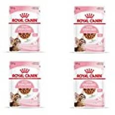 Royal Canin Kitten steriliserad gravyr | 4-pack | 4 x 12 x 85 g | våtfoder för kastrerade kattungar i tillväxt | Från 6 till 12 Månad | Mjuk konsistens för mjölktänderna