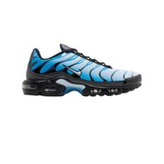 Nike, Sko, Herre, Flerfarvet, 40 1/2 EU, Air Max Plus TN