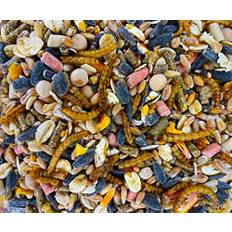 UGF - Vildfågelmat året runt 5 kg, Wild Bird Food med solrosfrön, mjölmaskar och nio andra ingredienser, en unik kombination av ingredienser för utfodring året runt