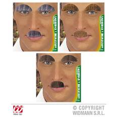 Mustasch & ögonbryn, professor