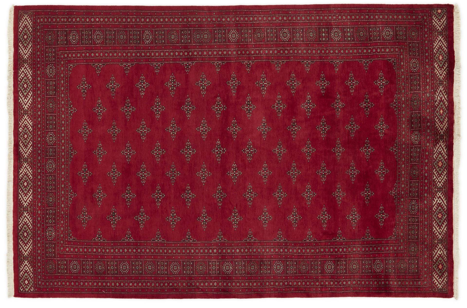 Pakistan 3 Ply