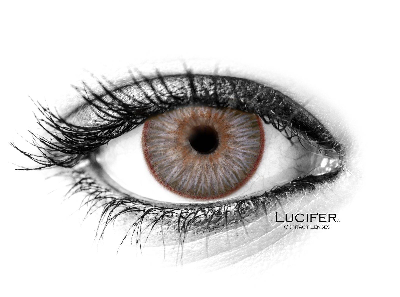 AVATAR BROWN Contact Lenses