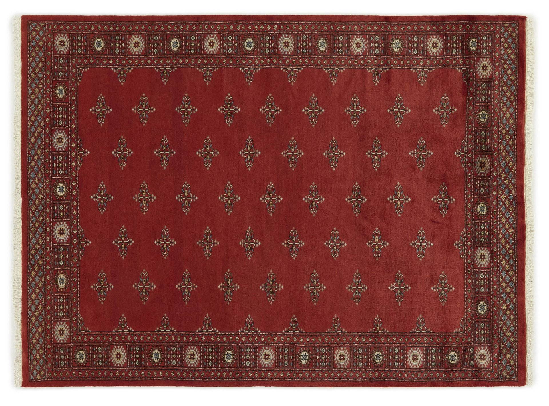 Pakistan 3 Ply
