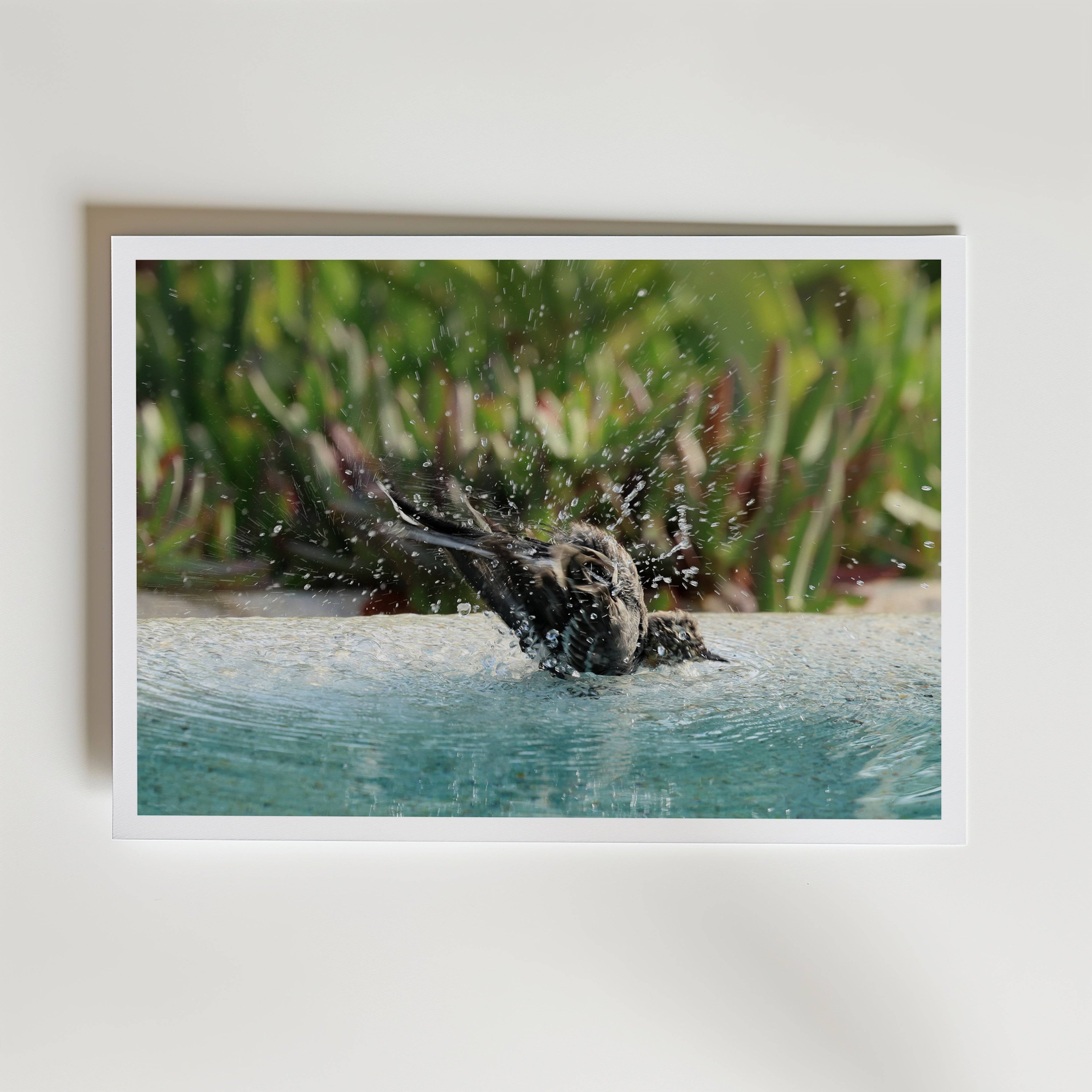 She Is Free Poster - Fine Art Poster 50x70 cm