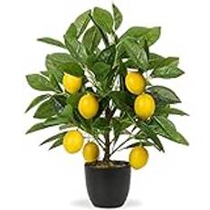 Konstgjord växt dekoration citronträd, 40 cm plastväxt i kruka svart, konstgjorda växter som äkta, konstgjorda inomhusväxter med citrongren och citron frukter för heminredning vardagsrum kök kontor