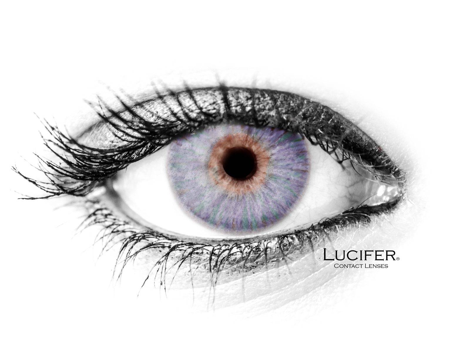 MONET GRAY Contact Lenses