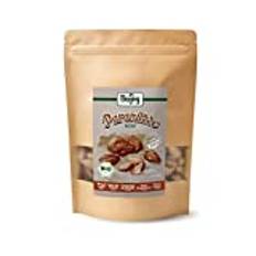 Biojoy EKO-Paranötte, råa utan skal (500 g)