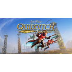 Harry Potter: Quidditch Champions (PS5) (Account) - Standard