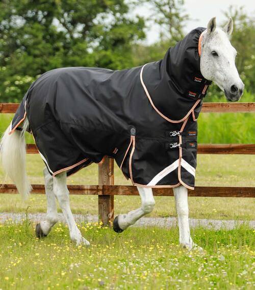 Premier Equine Titan 300g dækken - 6,9" - 155cm, Sort