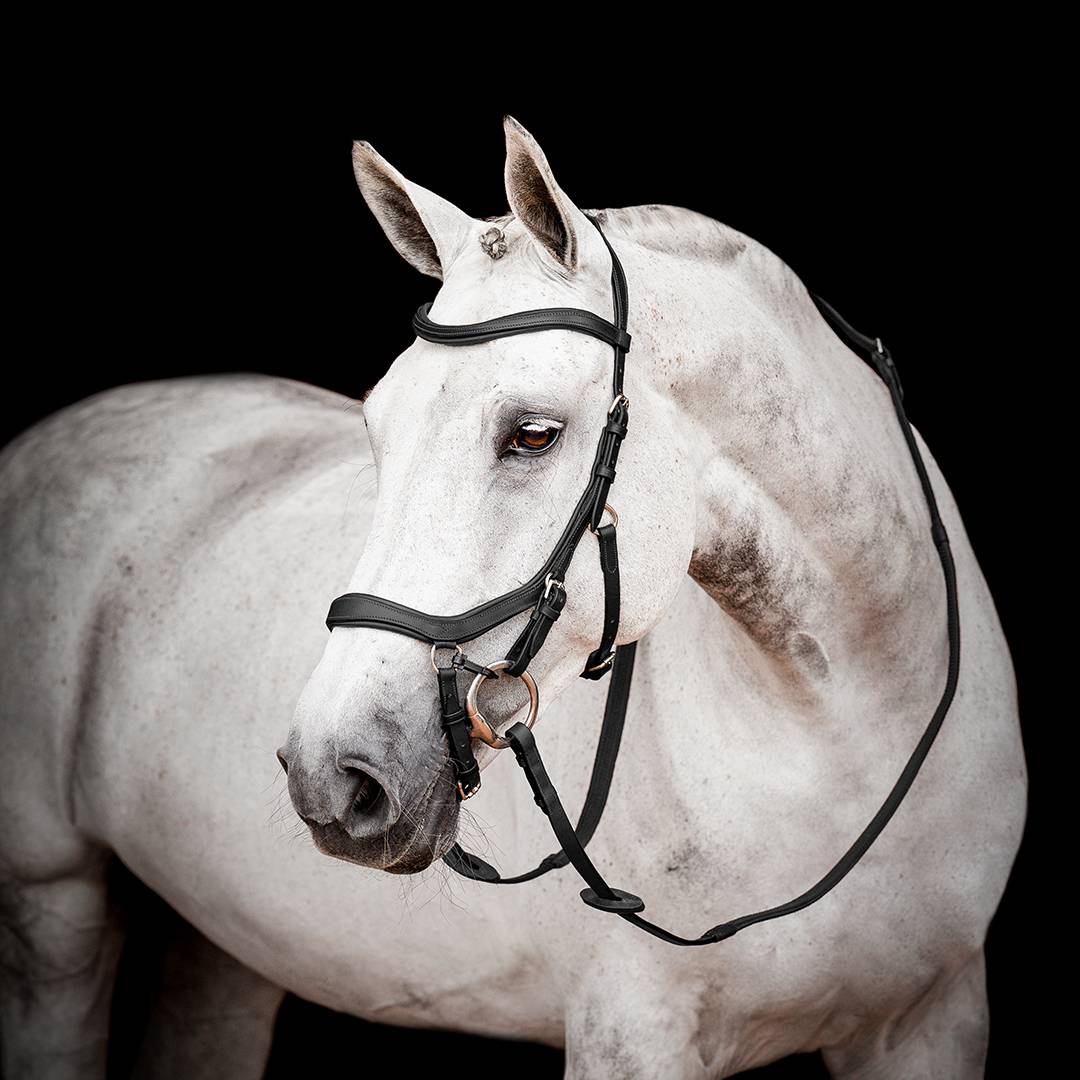 HORSEWARE MICKLEM 2 COMPETITION BRIDLE