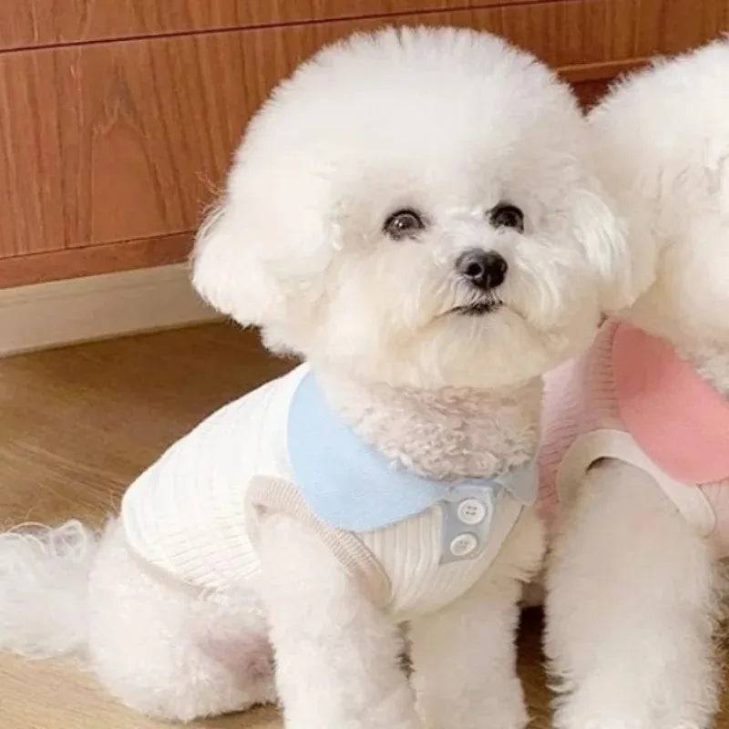 Summer Dog Shirt - Lightweight Pet Clothing for Small Dogs - White / CHINA / XL (XL)
