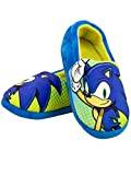 Sonic The Hedgehog Pojkar Tofflor Blå 29