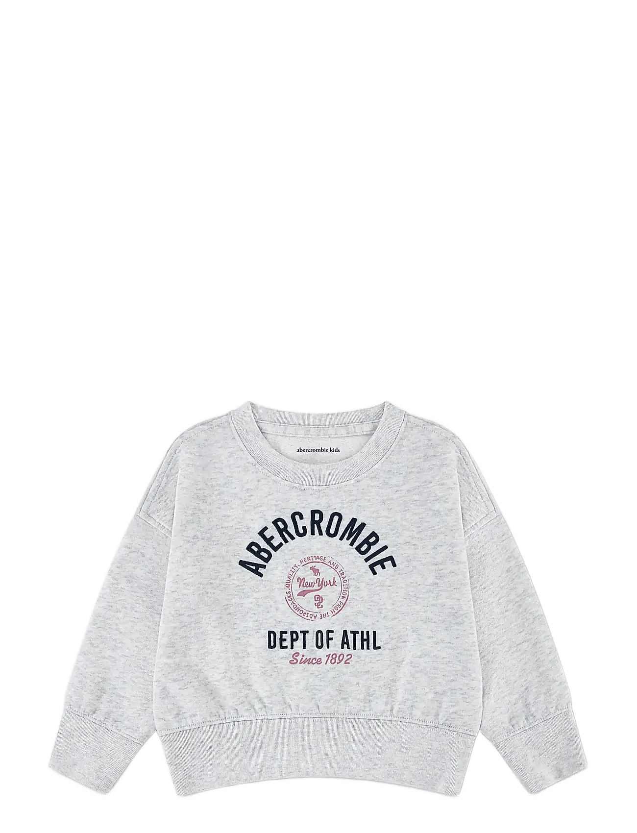 ABERCROMBIE KIDS Fw-Crew | Grey | 104