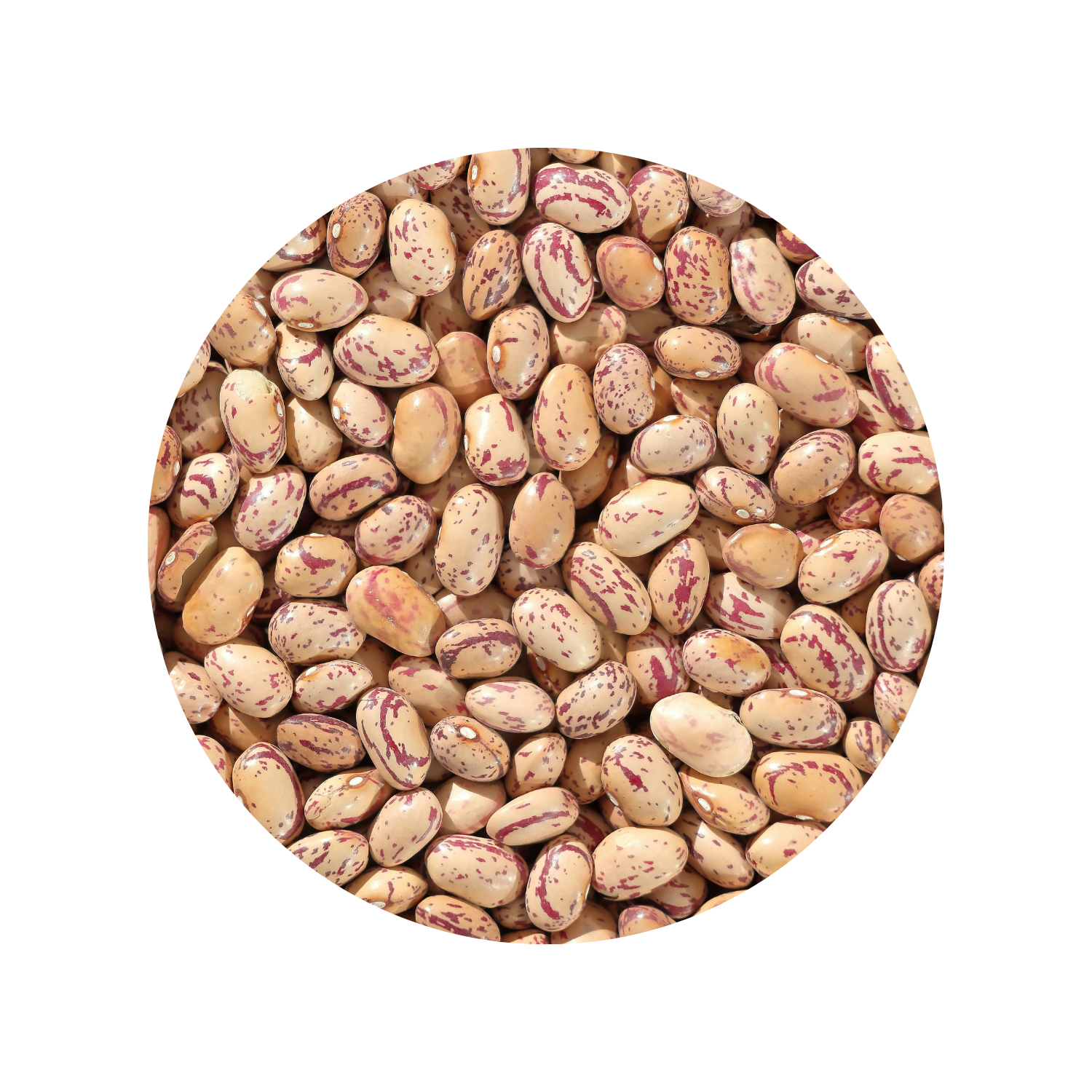 Bönor Pinto EKO 2kg