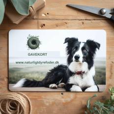 Gavekort
