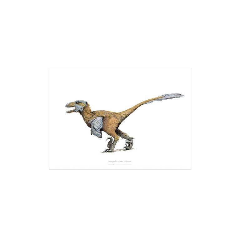 Deinonychus Kunstprint A4