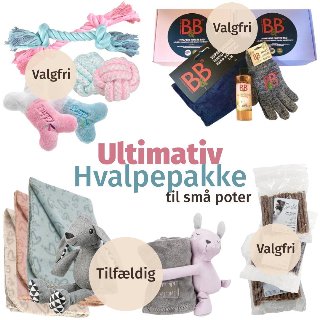 Ultimativ Hvalpepakke Til Små Poter – Lyserød / Krondyr.