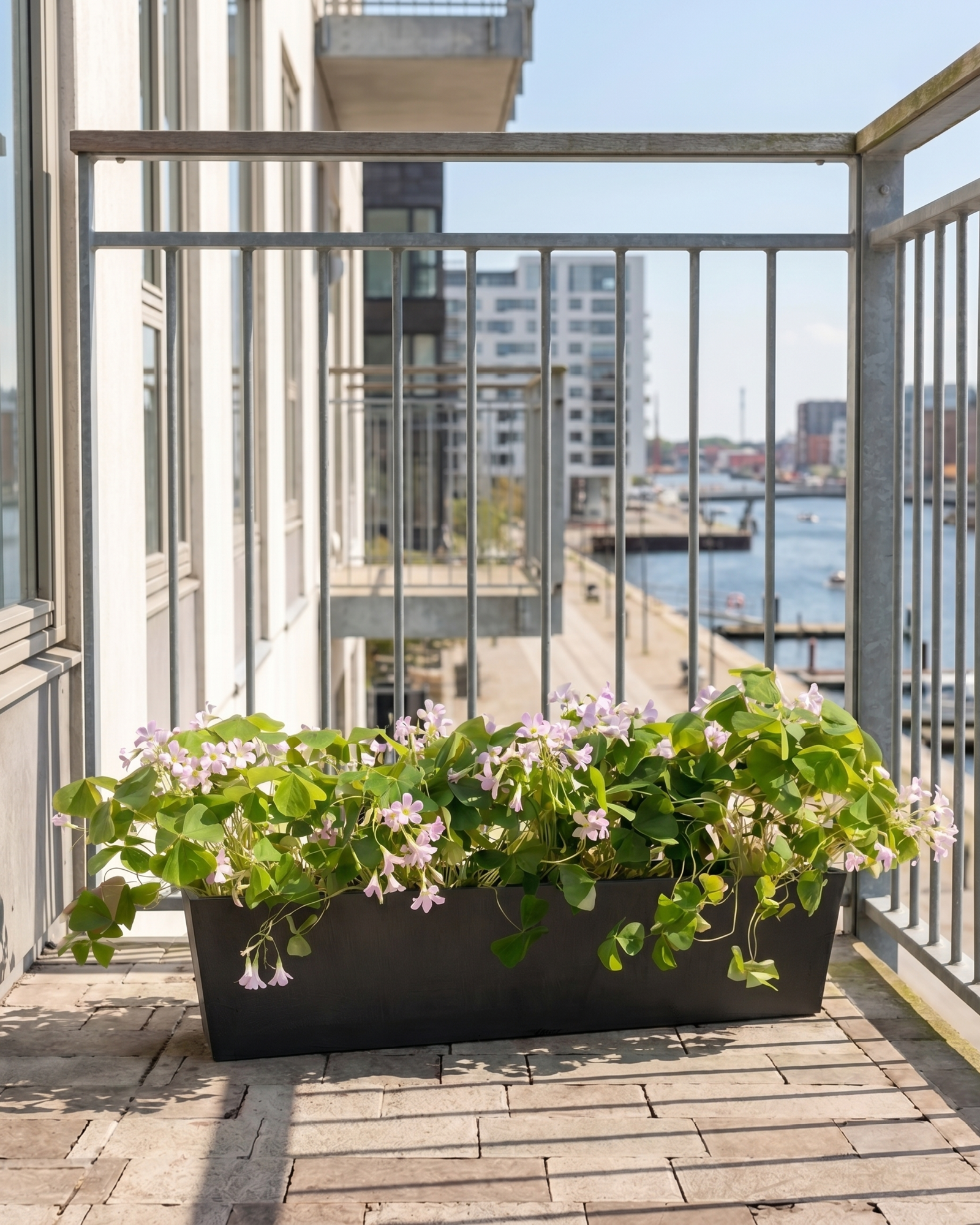 Grøn Sommerfuglekløver Altankasse - 75 cm / Sort / Med ophæng