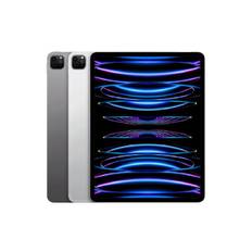 iPad Pro 11 Cellular 128GB (4th gen)