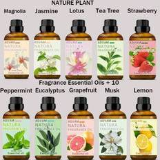 Aromaterapi eteriska oljor, vattenlösliga aromaterapi eteriska oljor, yoga eteriska oljor, blommiga eteriska oljor - jasmin, grapefrukt, citron, peppa - Multifärgad (Multi-size)