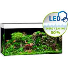 Rio 350 LED.