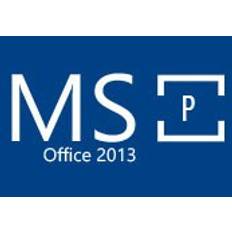 MS Office 2013 Professional OEM Key