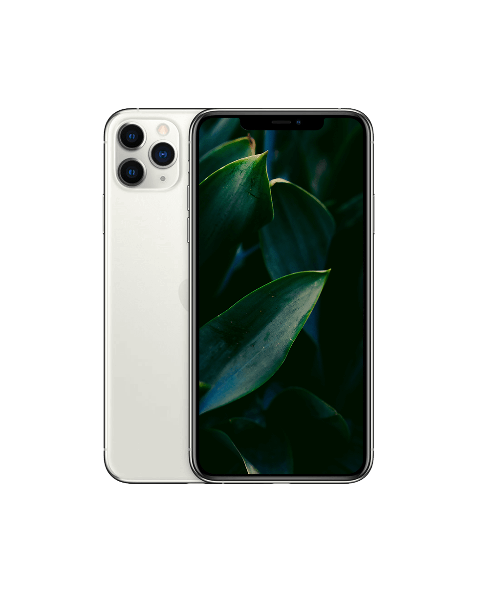 iPhone 11 Pro Silver / 256GB / Okej skick