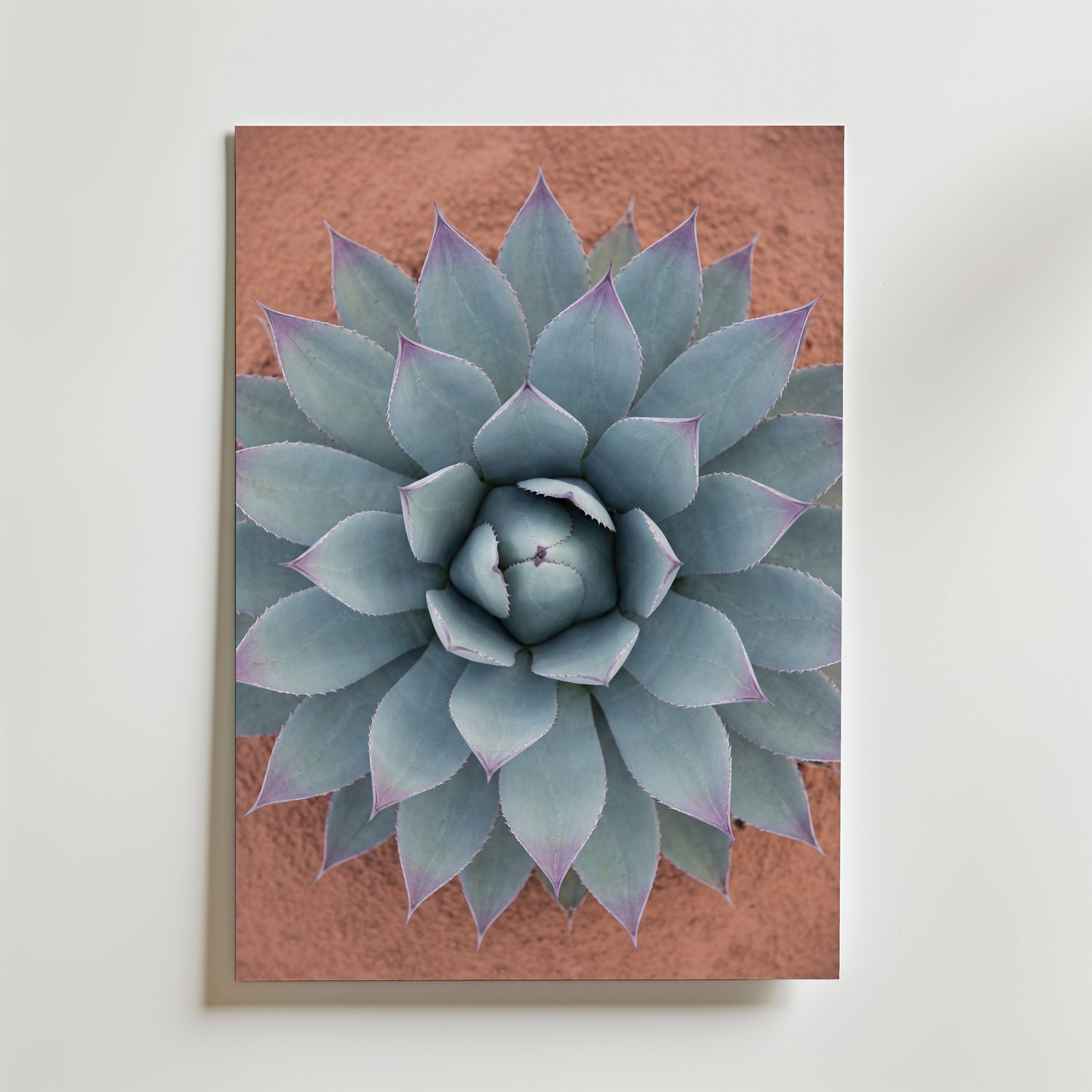 Sage Rosette Poster - Premium Canvas 50x70 cm