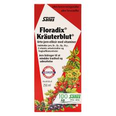 Floradix Kräuterblut Urte-jern mikstur - 250 ml.