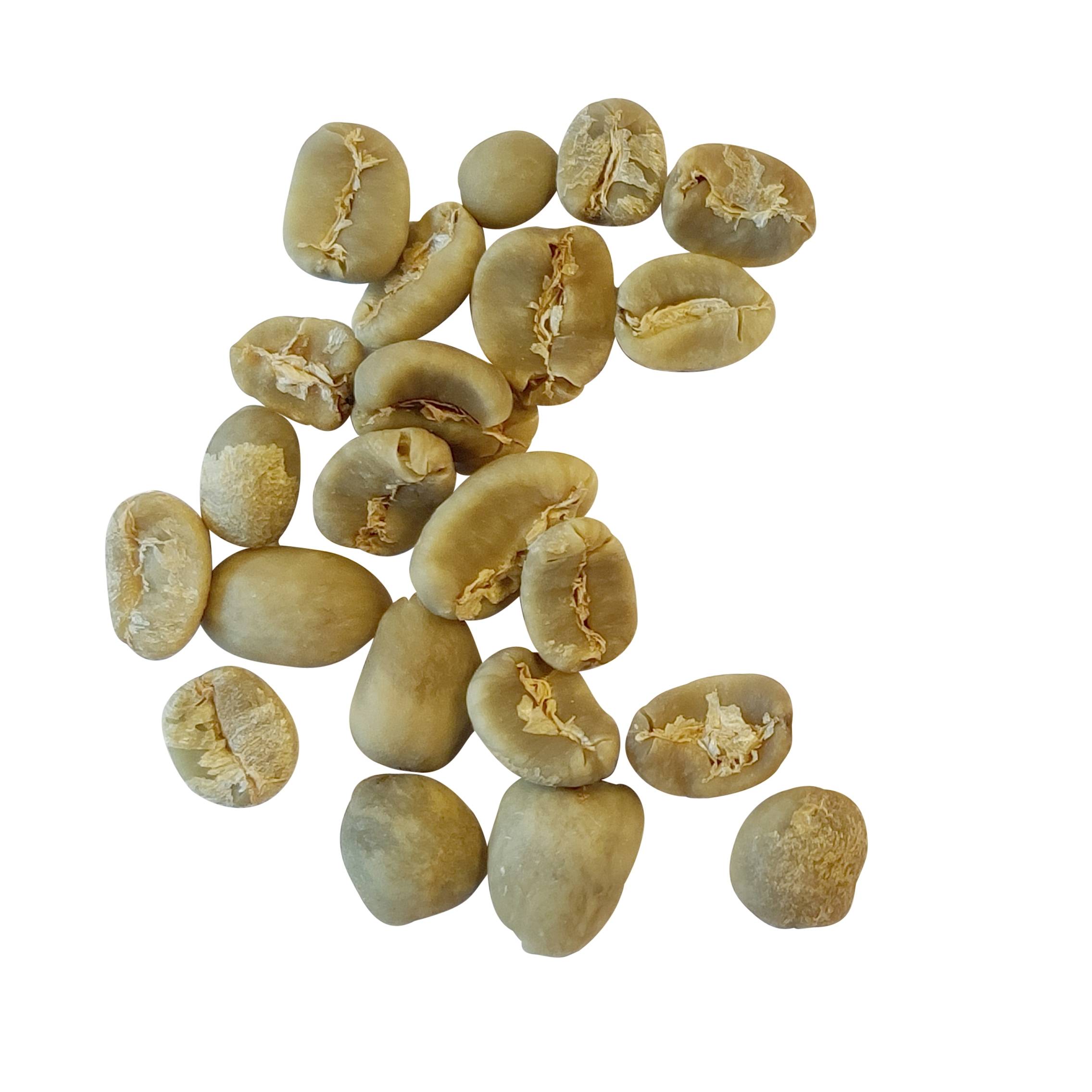 kaffeagenterne - Indonesien Sumatra Mandheling Grade 1 Scr 18/19 - rå bønner-5 kg i papirspose.